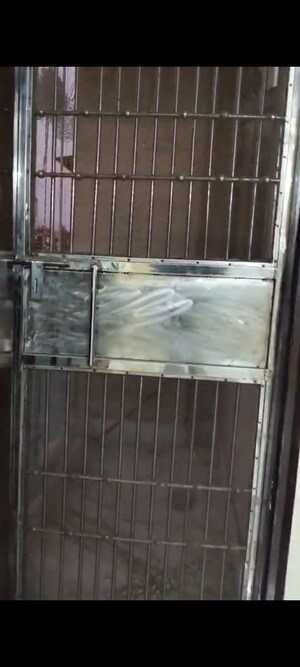 Balcony in 3 BHK Builder Floor at Pitampura – for Rent