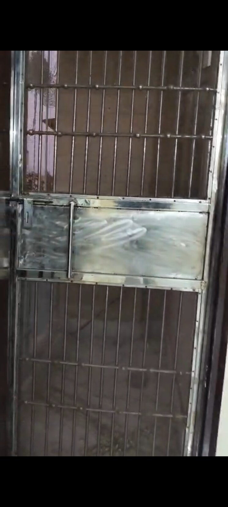 Balcony, pitampura 3 Bedroom 1000 Sq.Ft. Builder Floor In Pitampura Delhi 9444507