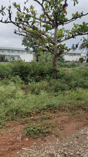 Plot Area in  Plot at Chandapura – for Sale