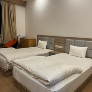  Pg For Rent in Dlf City Phase 3