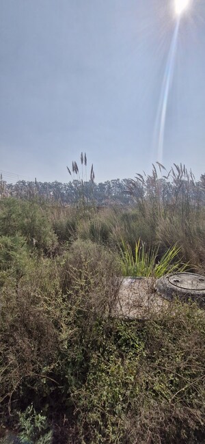  Plot For Sale in SectoR-4