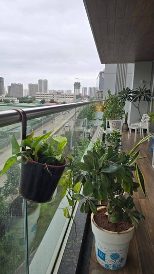 3.5 BHK Apartment For Rent in Panchshil Towers, Kharadi