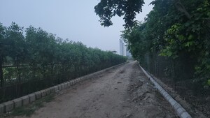 Plot Area in  Plot at Sector 151 – for Sale