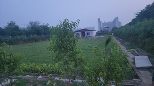  Plot For Sale in Sector 150