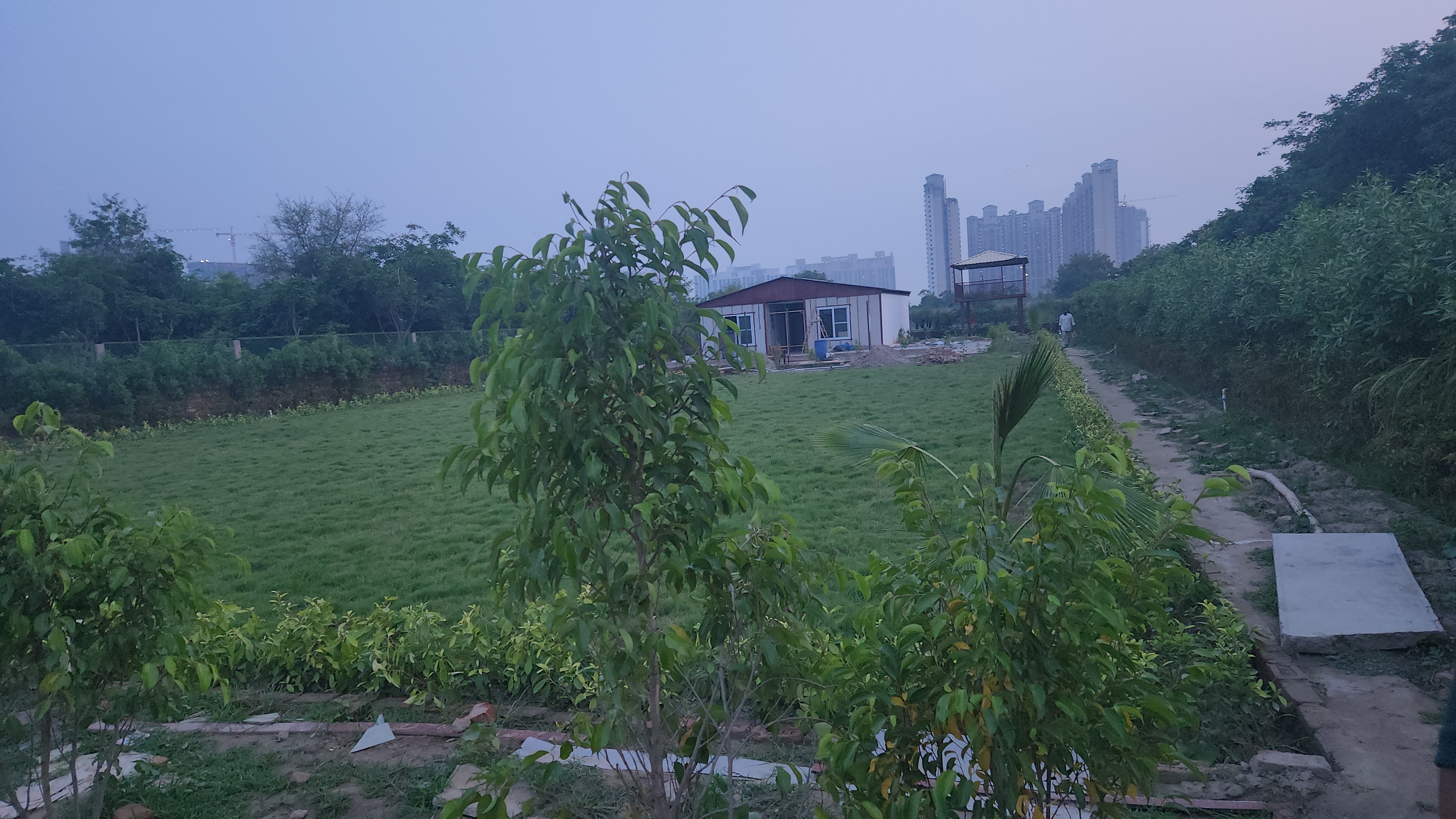 Plot For Sale in Sector 150