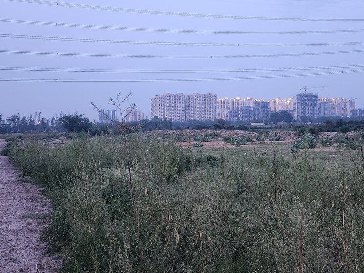 undefined, sector 150  1000 Sq.Yd. Plot In Sector 150 Noida 9446936