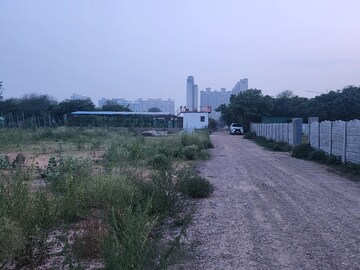 Plot Area in  Plot at Sector 150 – for Sale