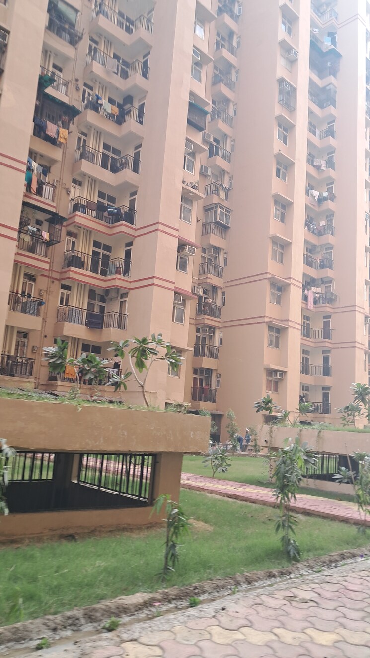 Master Plan, amrapali-princely-estate 3.5 Bedroom 1455 Sq.Ft. Apartment In Sector 76 Noida 9447513