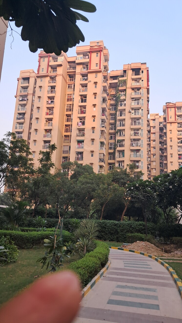 Exterior View, amrapali-princely-estate 3.5 Bedroom 1455 Sq.Ft. Apartment In Sector 76 Noida 9447513