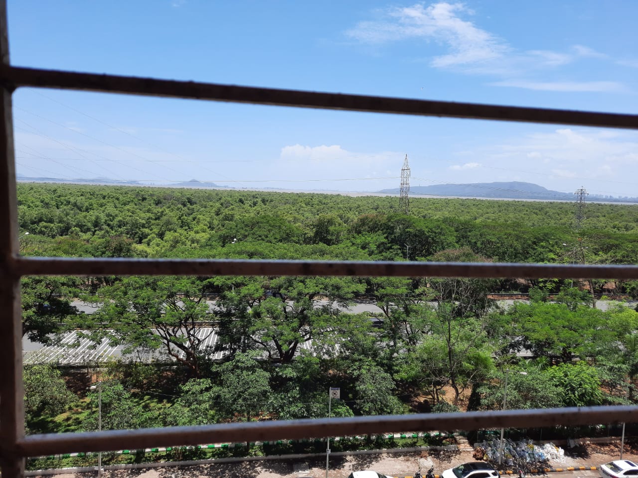 5 BHK Apartment For Sale in Palm Paradise