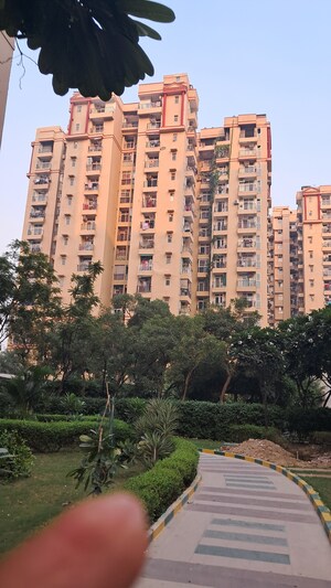 2.5 BHK Apartment For Sale in Amrapali Princely Estate, Sector 76