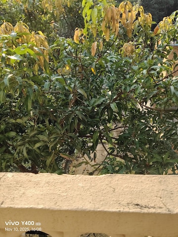 Plot Area in 2 BHK Villa at Dream House Uttan, Uttan – for Sale