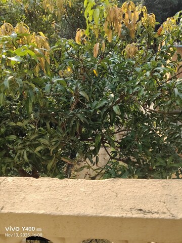 Plot Area in 2 BHK Villa at Dream House Uttan, Uttan – for Sale