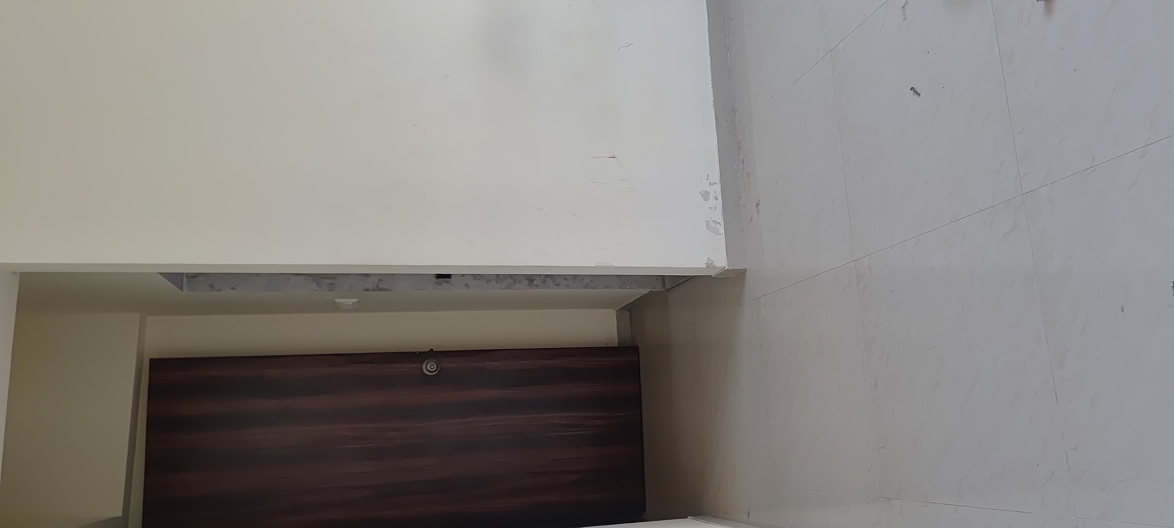 1 BHK Apartment For Rent in Paradigm Zenith Pushpanjali Residency Phase III