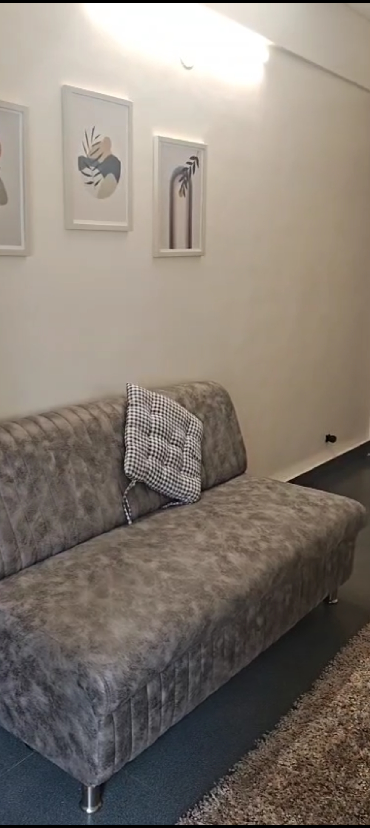 1 BHK Apartment For Rent in Rahul Terrace