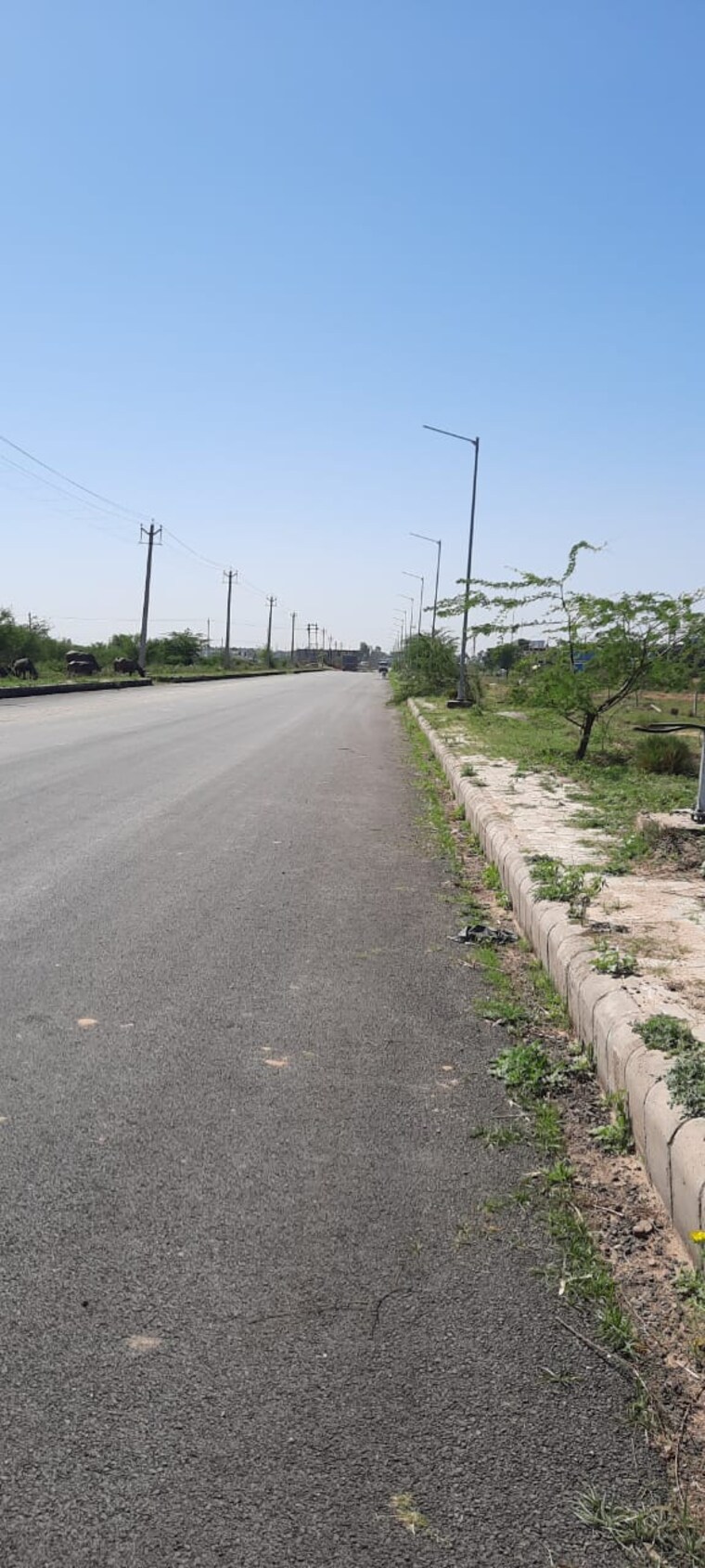 undefined, aerocity  200 Sq.Yd. Plot In Aerocity Mohali 9448622
