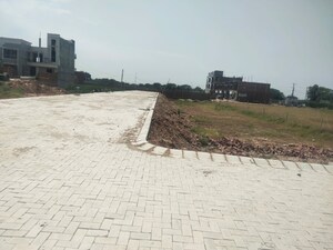  Plot For Sale in Sector 115