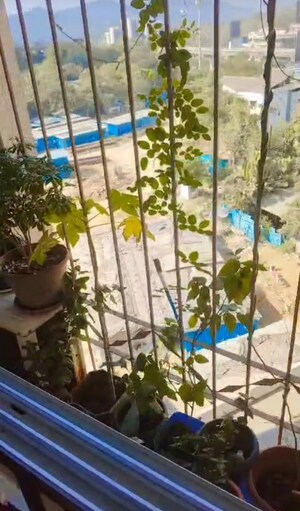2 BHK Apartment – Map Location View at Puranik Rumah Bali, Ghodbunder Road - for Sale