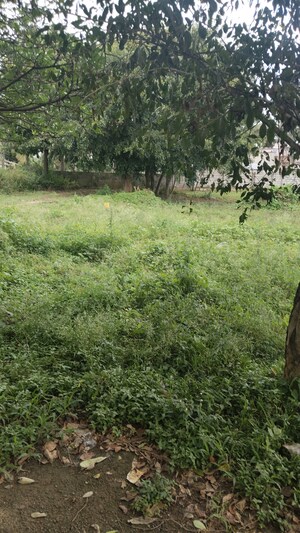 Plot Area in  Plot at Chandapura – for Sale