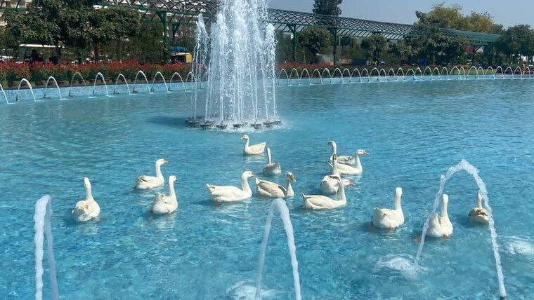 Swimming Pool, central-park-flower-valley 3 Bedroom 1642 Sq.Ft. Apartment In Sohna Sector 33 Gurgaon 9450006