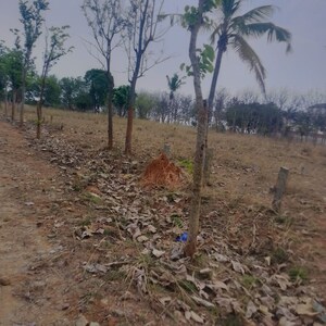 Plot Area in  Plot at Chandapura – for Sale