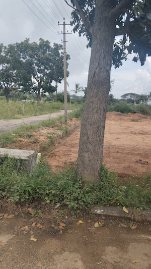 Plot Area in  Plot at Chandapura – for Sale