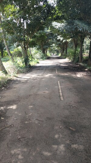 Plot Area in  Plot at Chandapura – for Sale