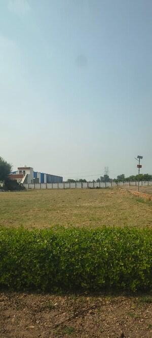 Plot Area in  Plot at Sujanpur – for Sale