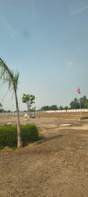 Plot Area in  Plot at Sujanpur – for Sale