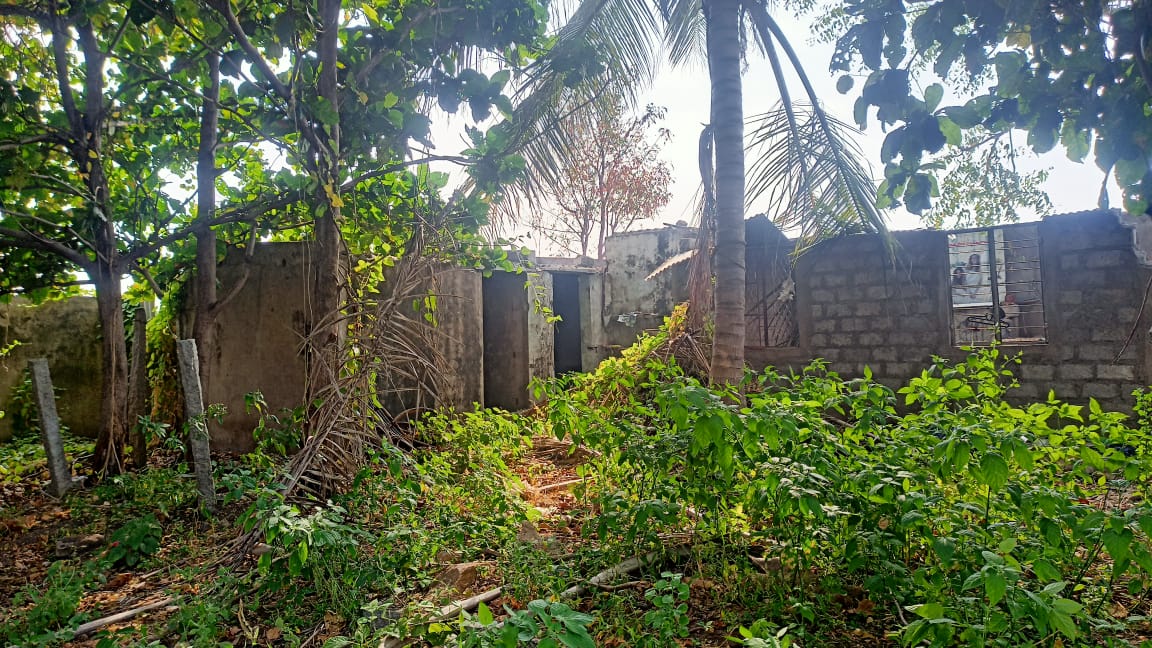 Plot For Sale in Royal Rajputana co