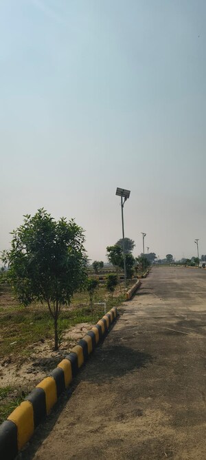 Plot Area in  Plot at Sujanpur – for Sale