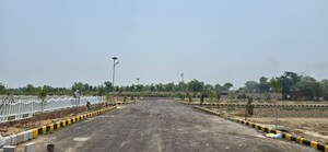  Plot For Sale in Sujanpur