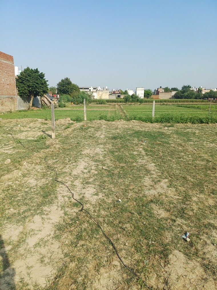 Garden, palla  81 Sq.Yd. Plot In Palla Faridabad 9451466