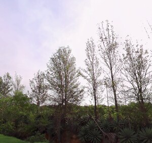 Plot Area in  Plot at Kolar Road – for Sale