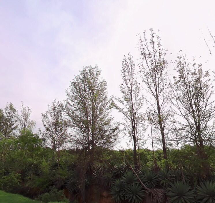 undefined, kolar road  140 Acre Plot In Kolar Road Bangalore 9444524