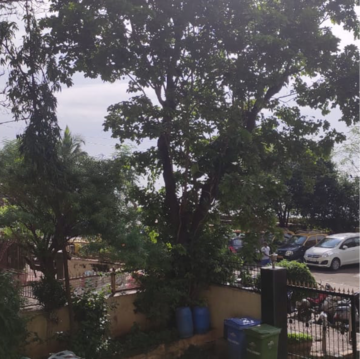 3 BHK Apartment – Exterior View View at Colaba - for Sale