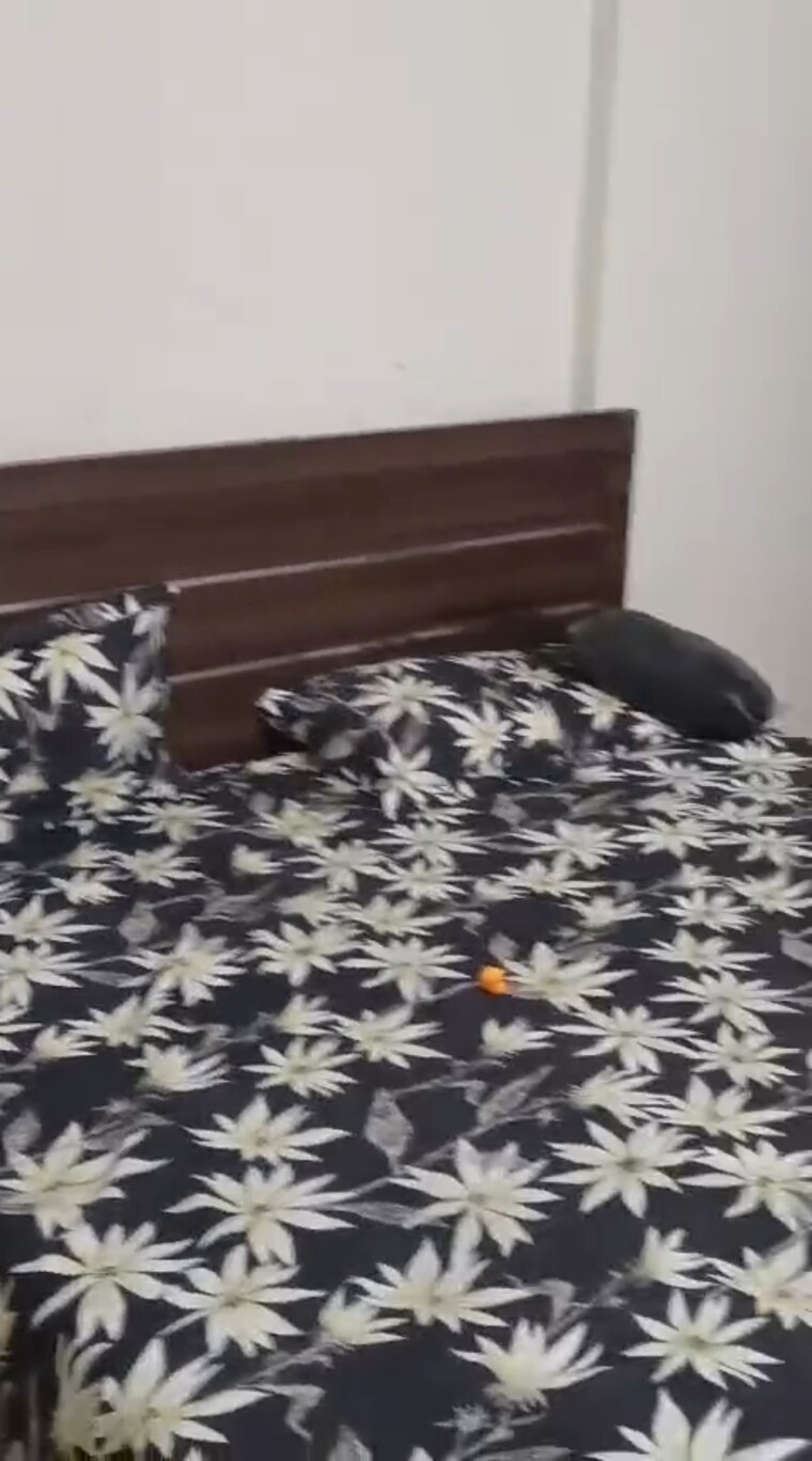 Room, wave-dream-homes 1 Bedroom 578 Sq.Ft. Apartment In Wave City Ghaziabad 9452592