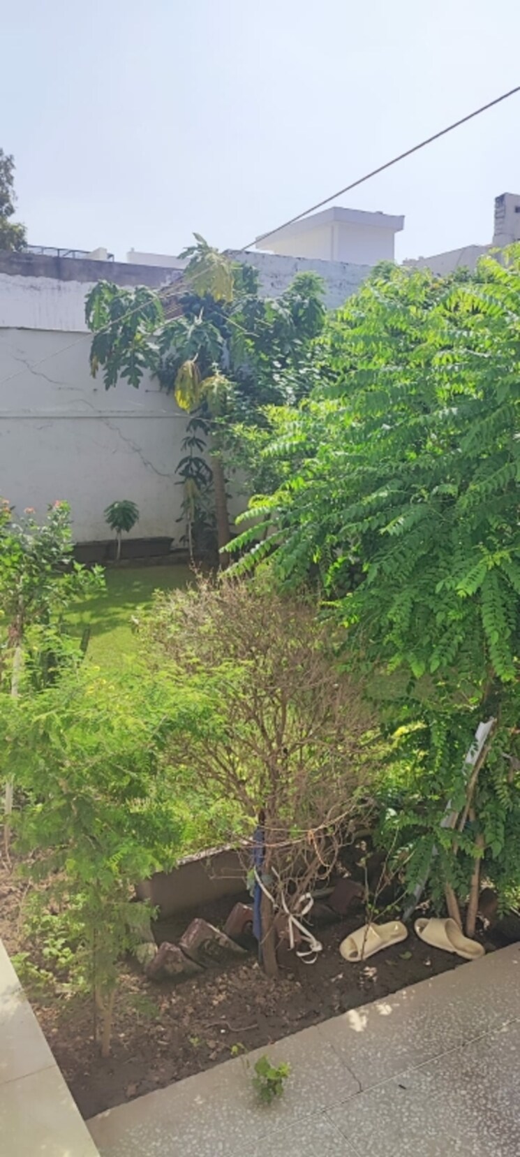 Garden, sector 17 4 Bedroom 4505 Sq.Ft. Builder Floor In Sector 17 Faridabad 9453247