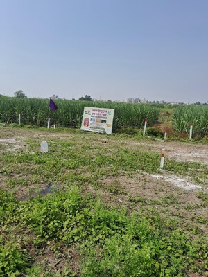 Plot Area in  Plot at Perne – for Sale