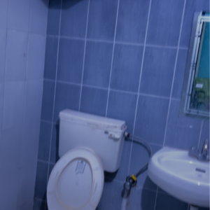 Bathroom in 3 BHK Apartment at Gomti Nagar – for Rent