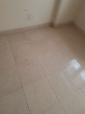 Room in 3 BHK Apartment at Tulip White, Sector 69 – for Sale