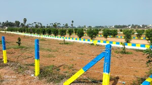  Plot – Garden View at Konthamuru - for Sale