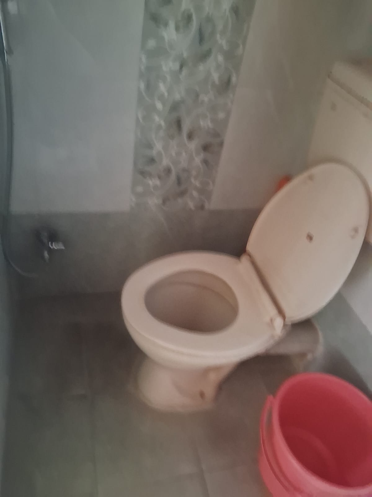 1 BHK Apartment For Rent in Ganesh Garden Dapodi