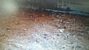  Land For Sale in Seshadripuram