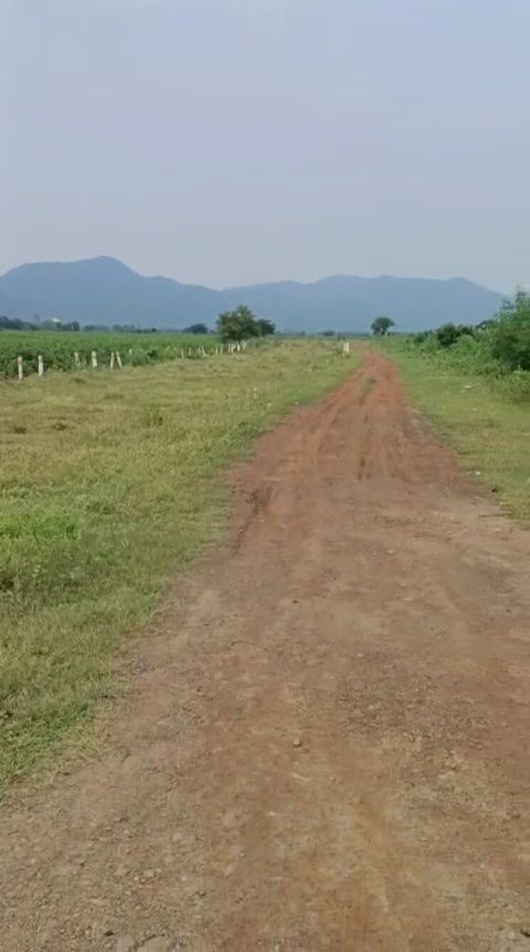 undefined, vijayawada one town  120 Sq.Yd. Plot In Vijayawada One Town Vijayawada 9455368