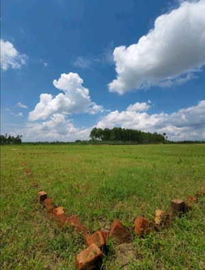  Plot For Sale in Herbertpur