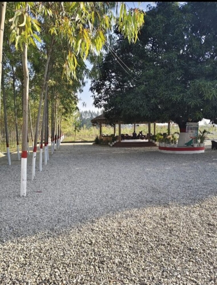 Exterior View, herbertpur  900 Sq.Ft. Plot In Herbertpur Dehradun 9444064