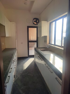 Kitchen in 3 BHK Apartment at Ardee City Palm Grove Heights, Sector 52 – for Rent