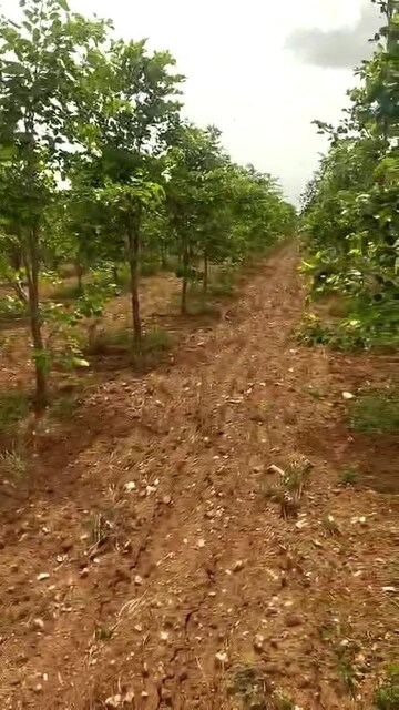  Plot – Exterior View View at G Konduru - for Sale