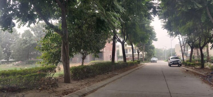 Exterior View, omaxe-new-chandigarh  300 Sq.Yd. Plot In North Mullanpur Chandigarh 9455443